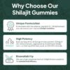 Shilajit Gummies | Energy Gummies | Pure Himalayan Shilajit for Men & Women