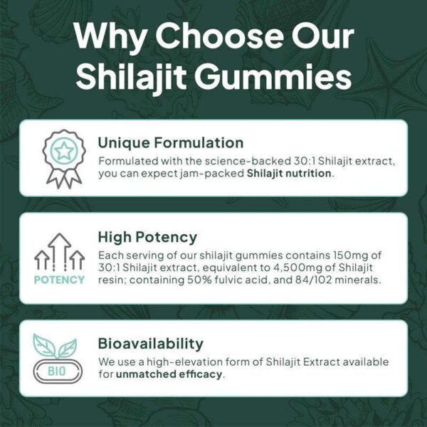 Shilajit Gummies | Energy Gummies | Pure Himalayan Shilajit for Men & Women